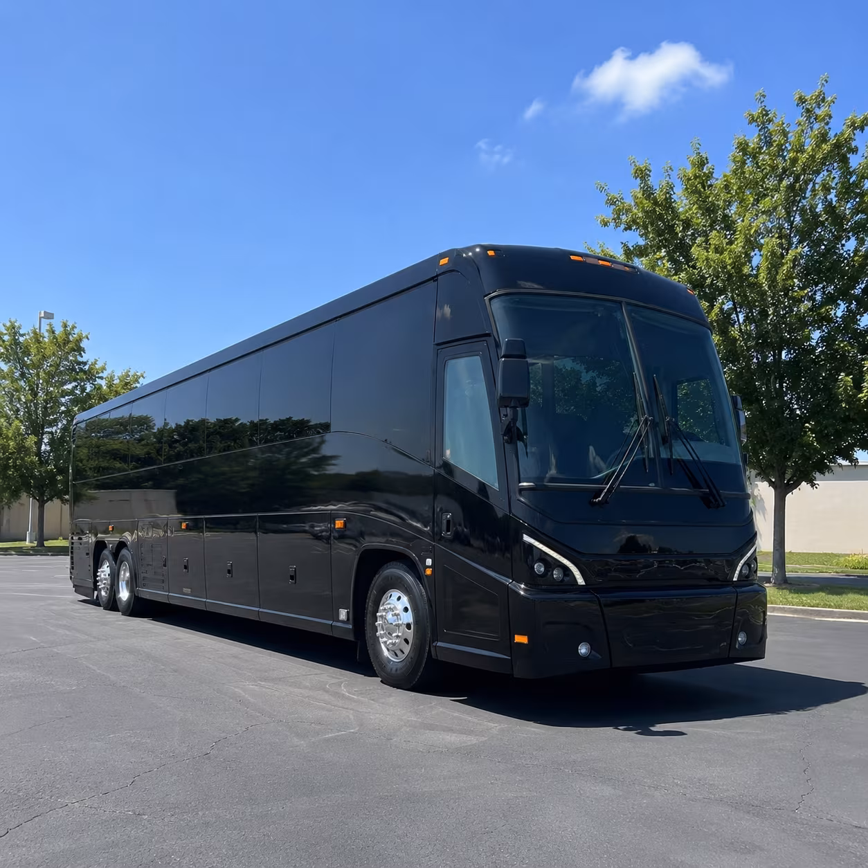 Roseville School Event Transportation party bus exterior