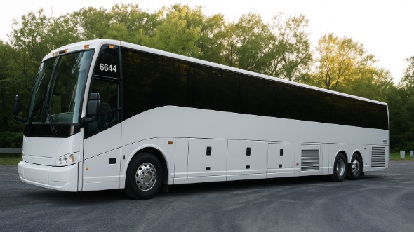 carmichael bachelor and bachelorette party bus rentals