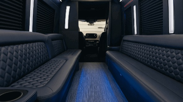 roseville party bus rentals
